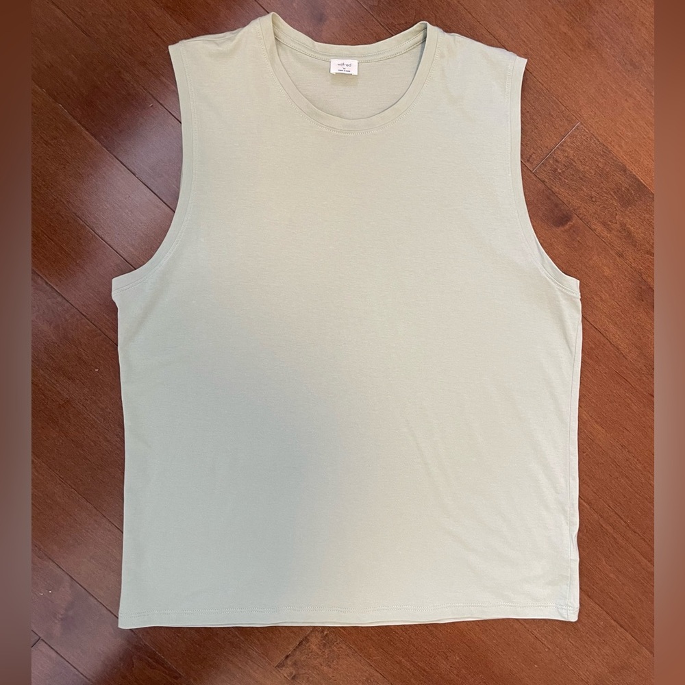 NWOT Aritzia Wilfred Zelen Tank